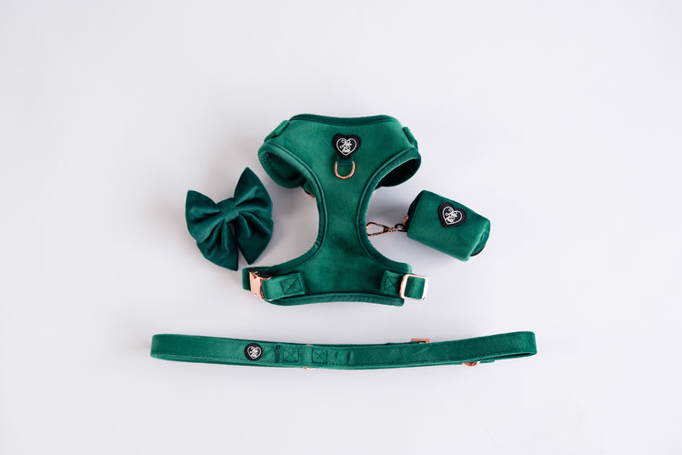 Velveteen Dog Harness