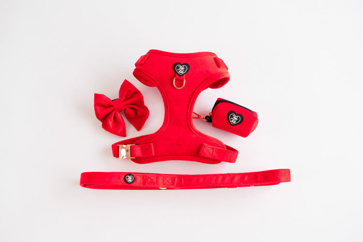 Velveteen Dog Harness