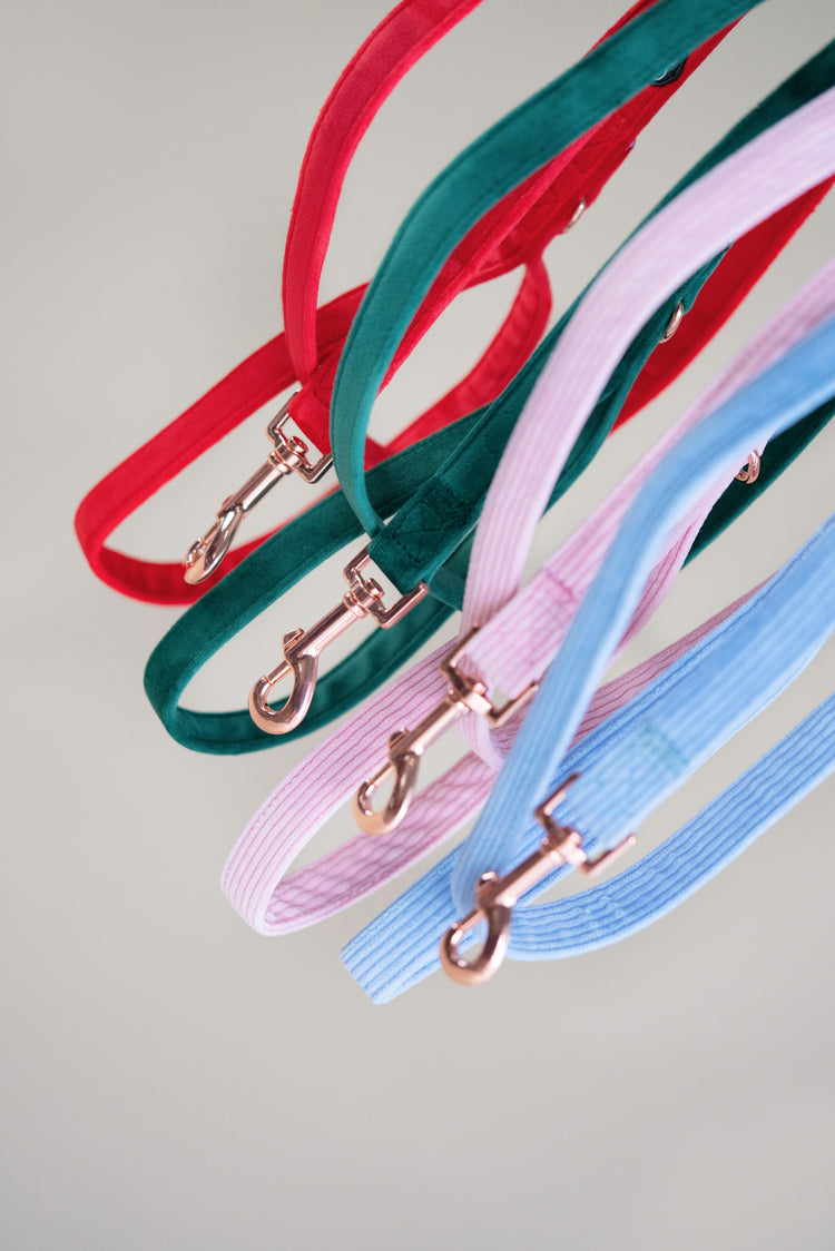 Dog Leash