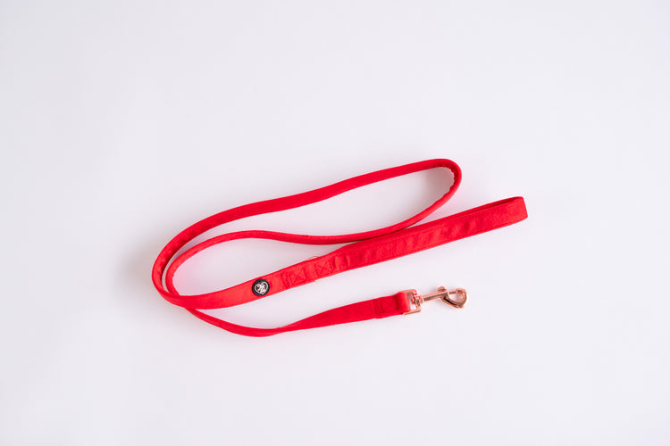 Dog Leash