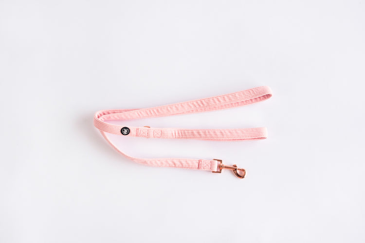 Dog Leash