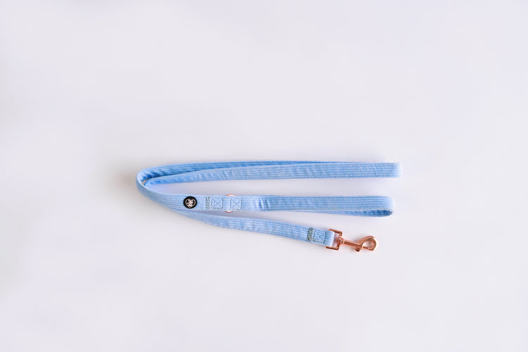 Dog Leash