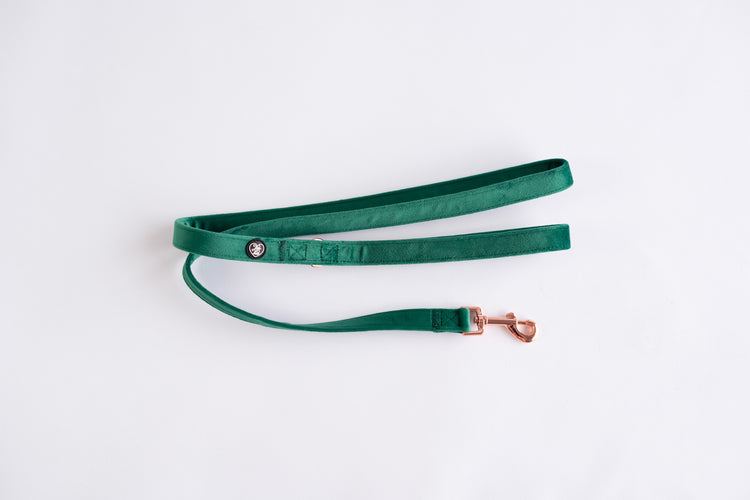 Dog Leash
