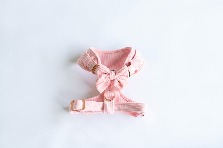Sailor Bow