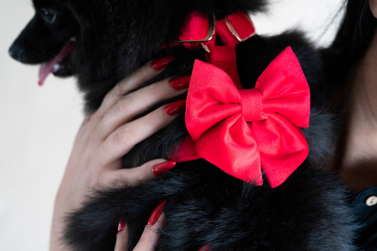 Sailor Bow